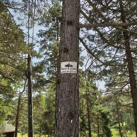 Superklasiko * Divčibare